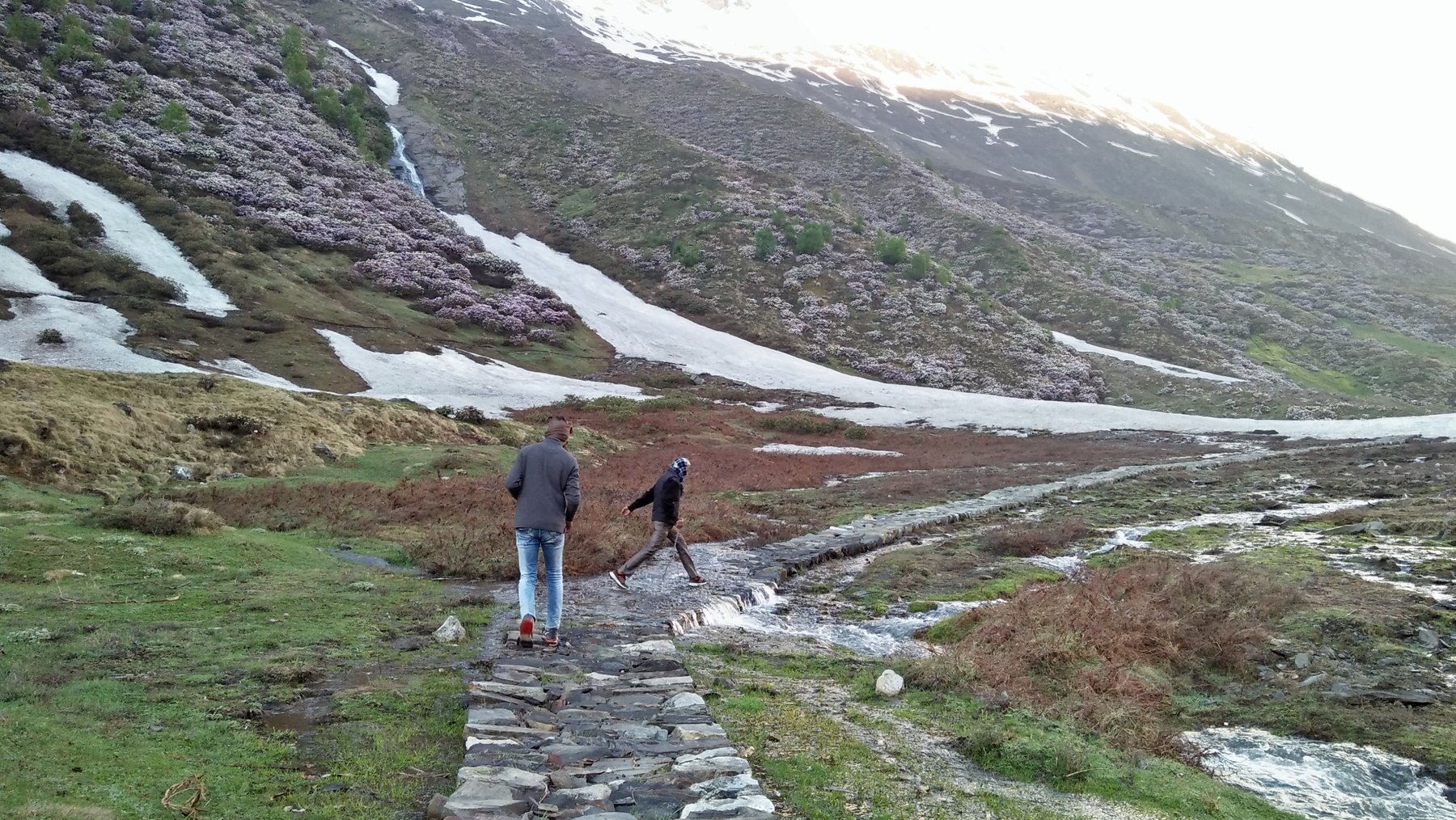 Trekkers crossing a stream on a stone path in the Darma Valley, snow patches and blooming rhododendron on the hillside