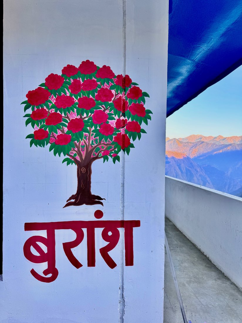 Buransh (rhododendron) mural with mountain view